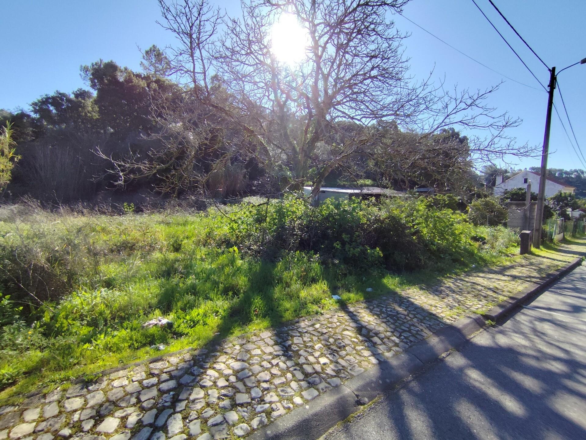 Terreno à Venda em Coimbra - Coimbra - Portugal - 2