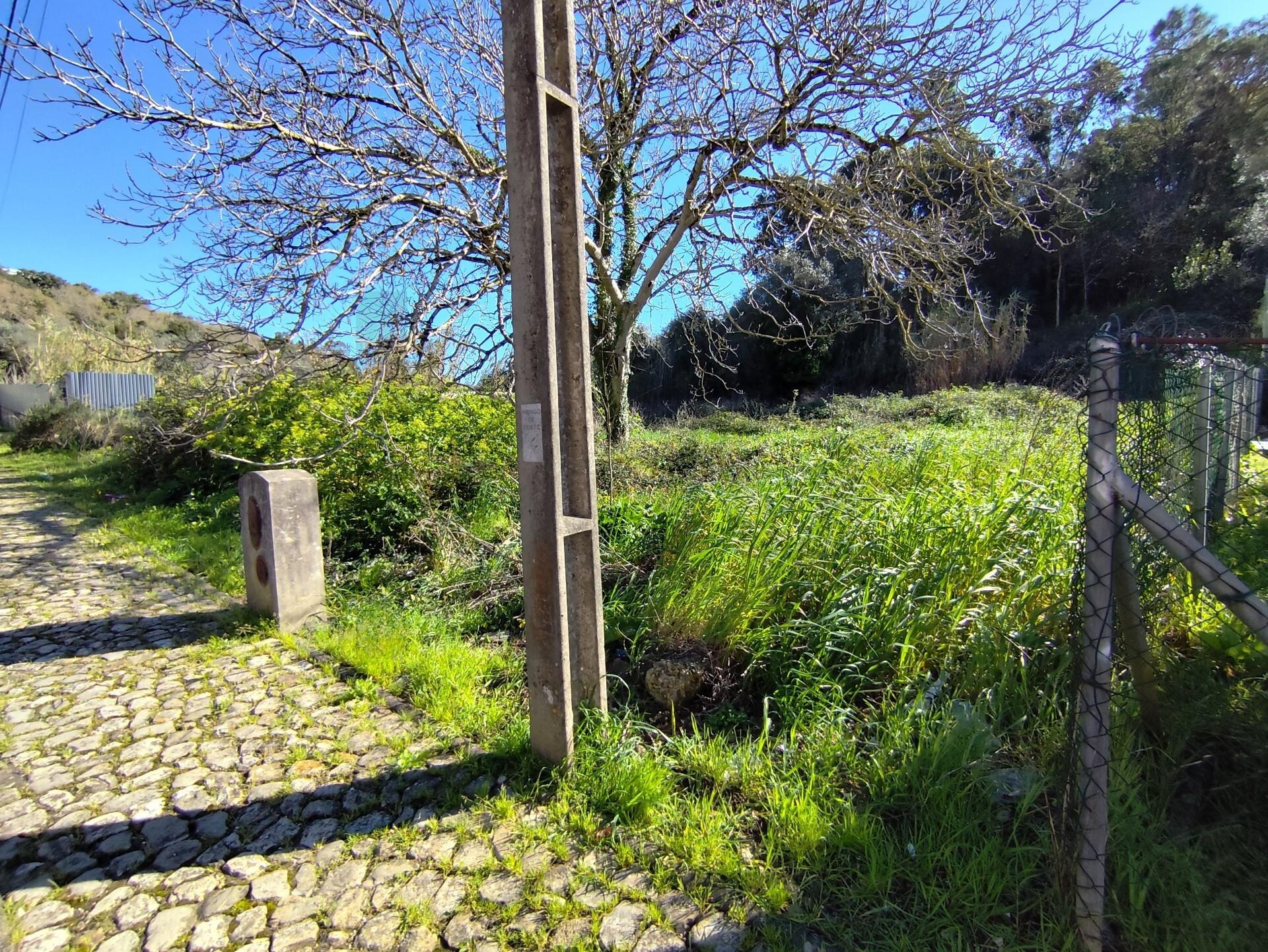 Terreno à Venda em Coimbra - Coimbra - Portugal - 3
