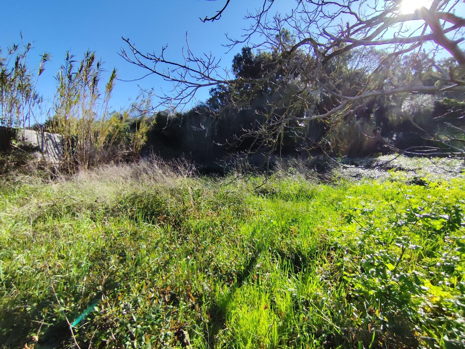 Terreno à Venda em Coimbra - Coimbra - Portugal - 5