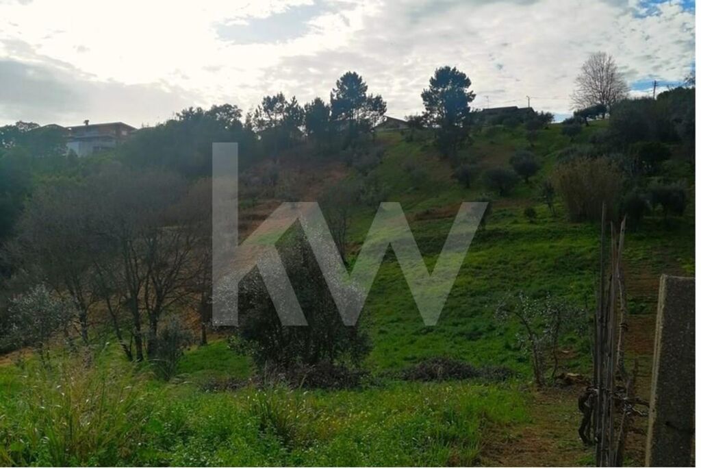 Terreno à Venda em Coimbra - Coimbra - Portugal - 2