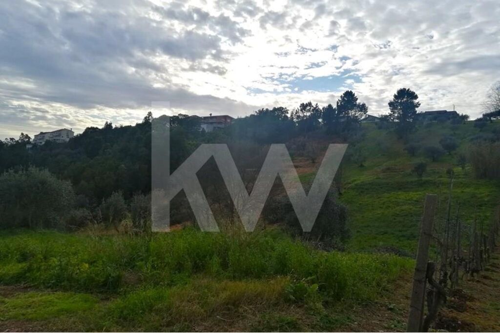 Terreno à Venda em Coimbra - Coimbra - Portugal - 4