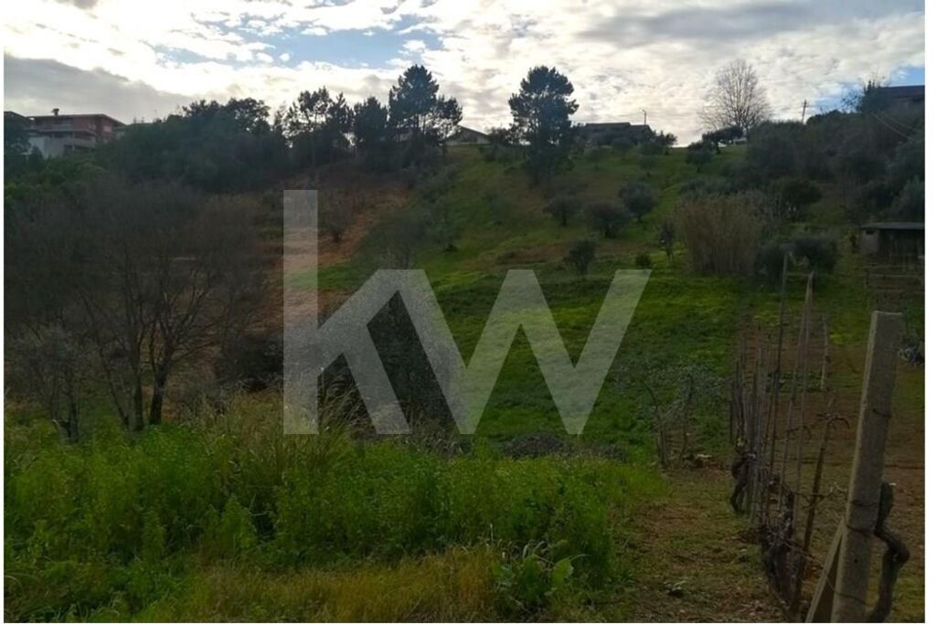 Terreno à Venda em Coimbra - Coimbra - Portugal - 5