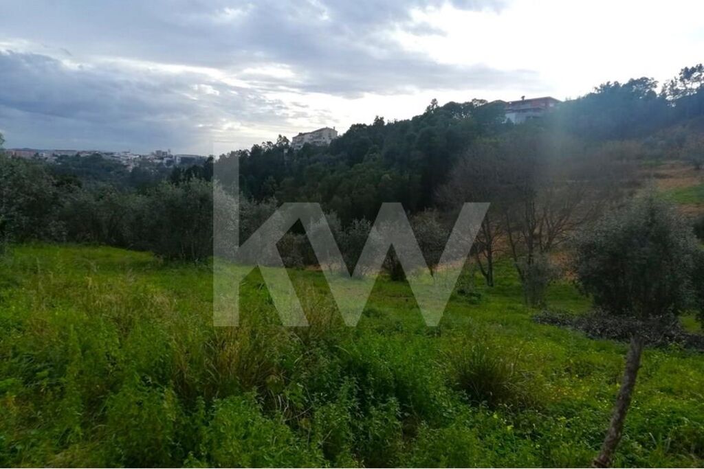 Terreno à Venda em Coimbra - Coimbra - Portugal - 7