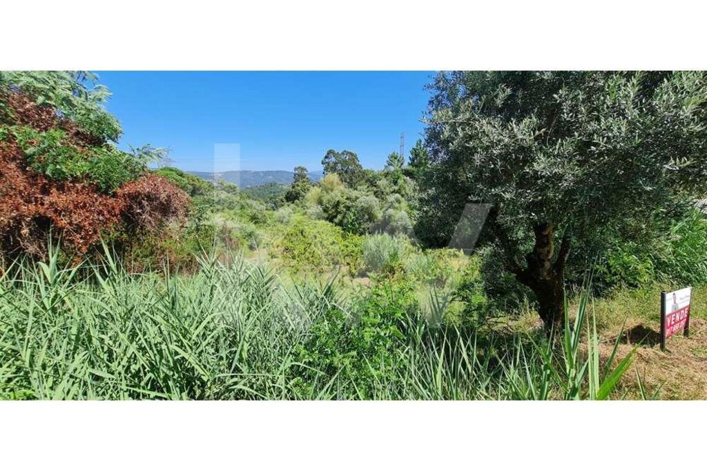 Terreno à Venda em Coimbra - Coimbra - Portugal - 4