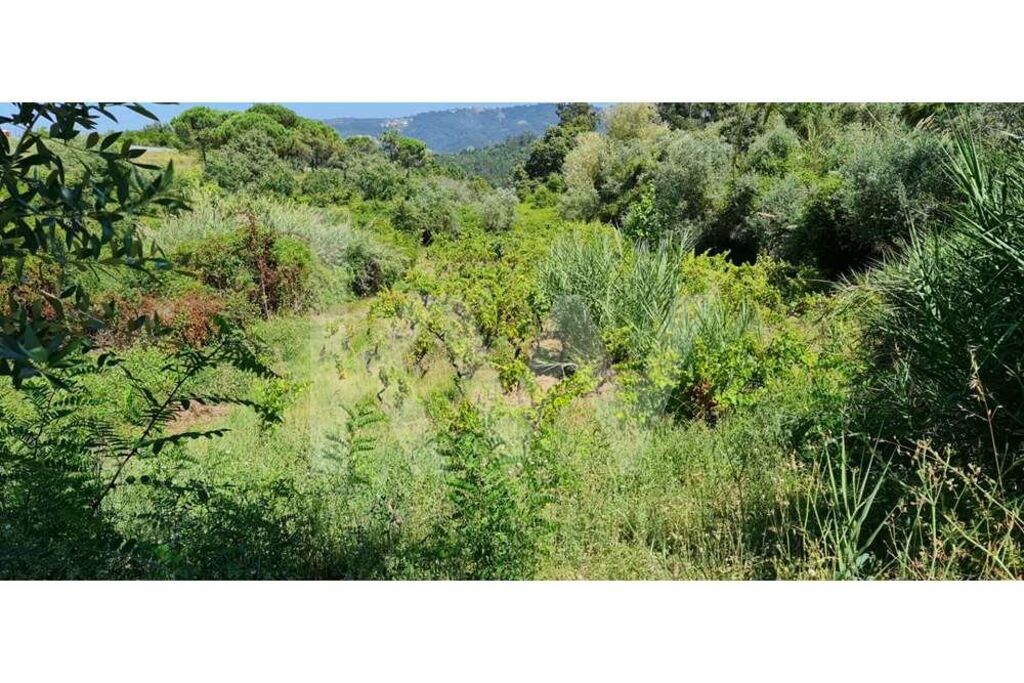 Terreno à Venda em Coimbra - Coimbra - Portugal - 7