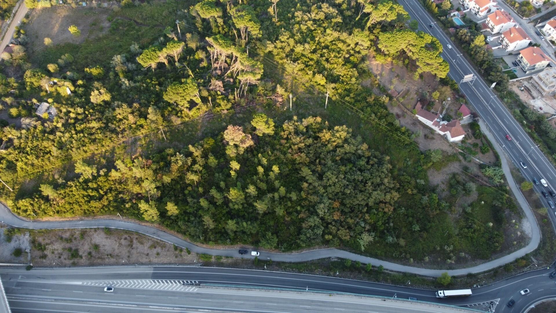 Terreno à Venda em Coimbra - Coimbra - Portugal - 4