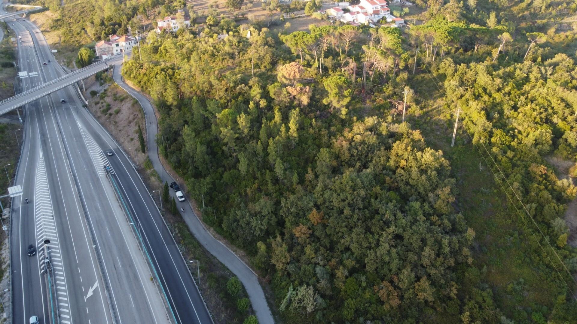 Terreno à Venda em Coimbra - Coimbra - Portugal - 5