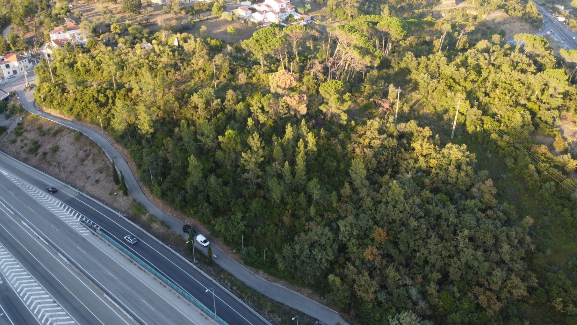 Terreno à Venda em Coimbra - Coimbra - Portugal - 7