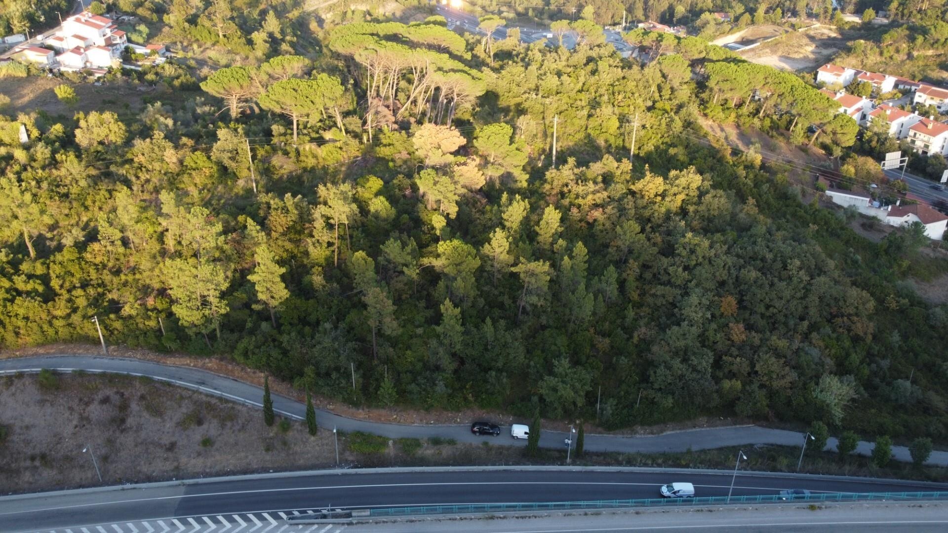 Terreno à Venda em Coimbra - Coimbra - Portugal - 8