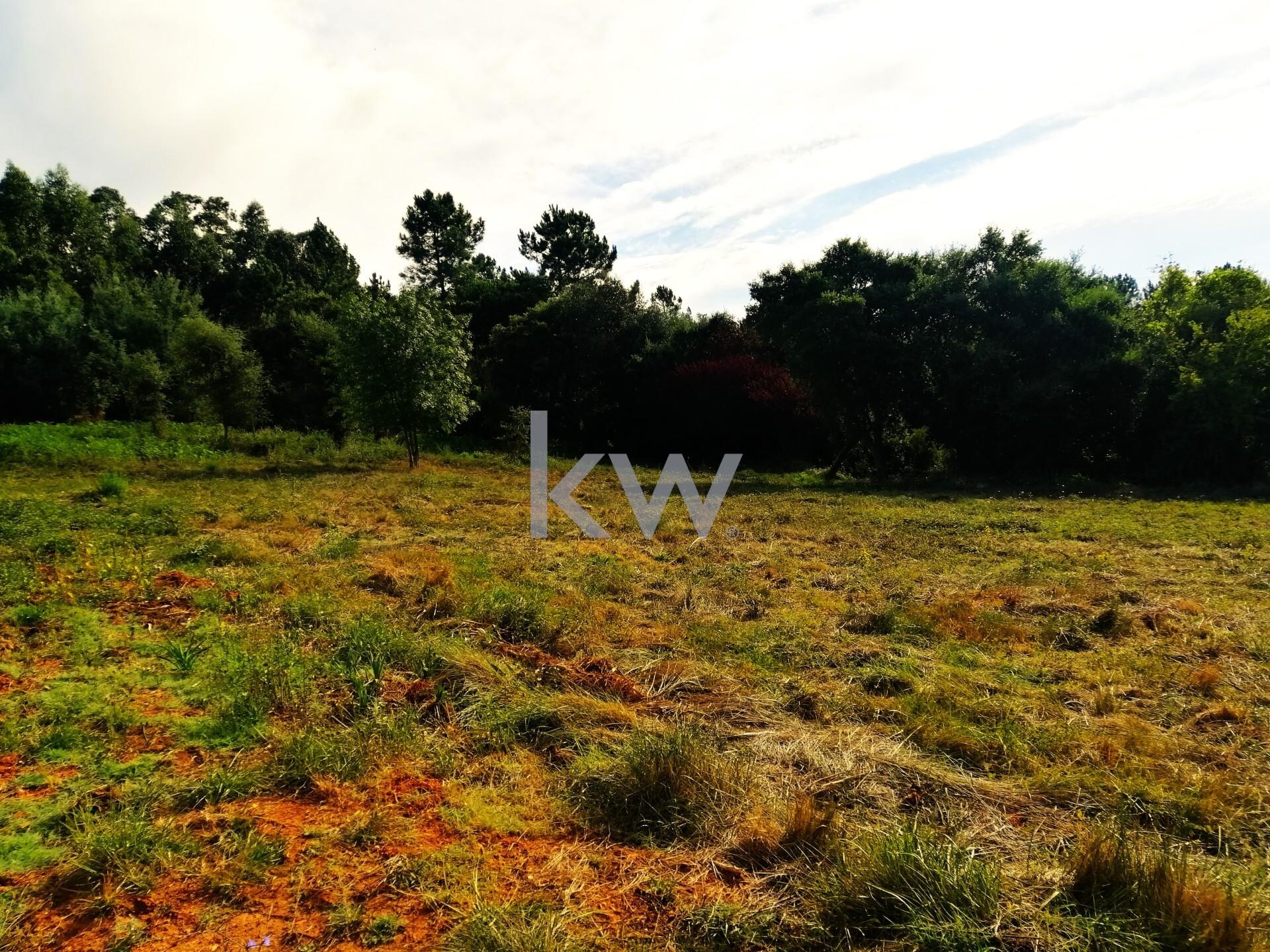 Terreno à Venda em Coimbra - Coimbra - Portugal - 7