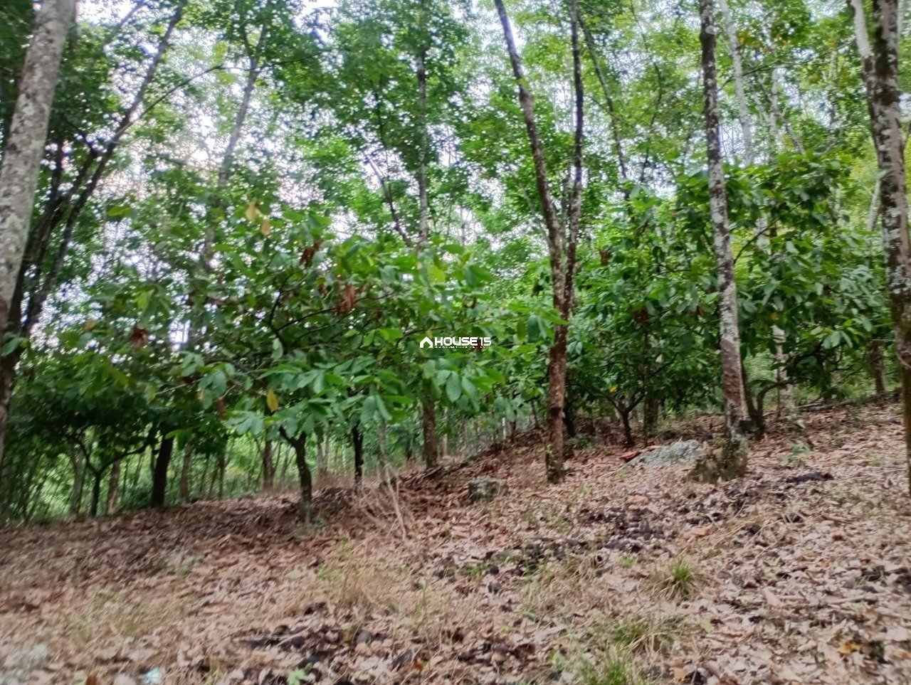 Terreno à Venda em Comunidade Urbana de Jaboti - Guarapari - Espírito Santo - Brasil - 2