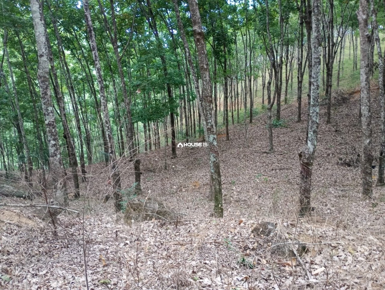 Terreno à Venda em Comunidade Urbana de Jaboti - Guarapari - Espírito Santo - Brasil - 3