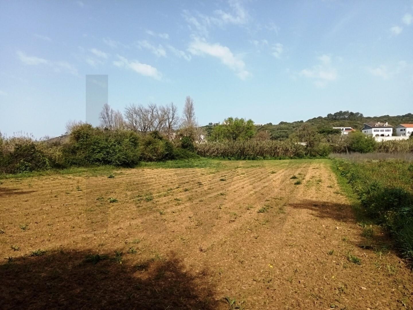 Terreno à Venda em Ericeira - Lisboa - Portugal - 2
