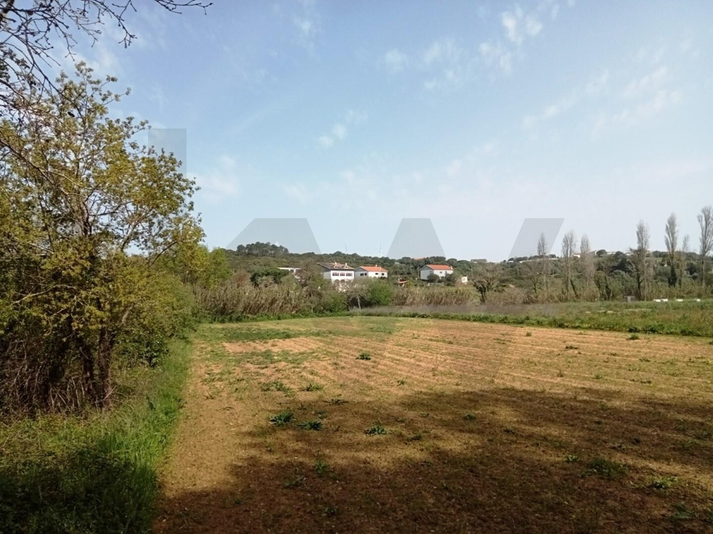 Terreno à Venda em Ericeira - Lisboa - Portugal - 3