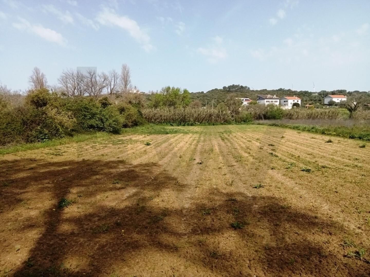 Terreno à Venda em Ericeira - Lisboa - Portugal - 4