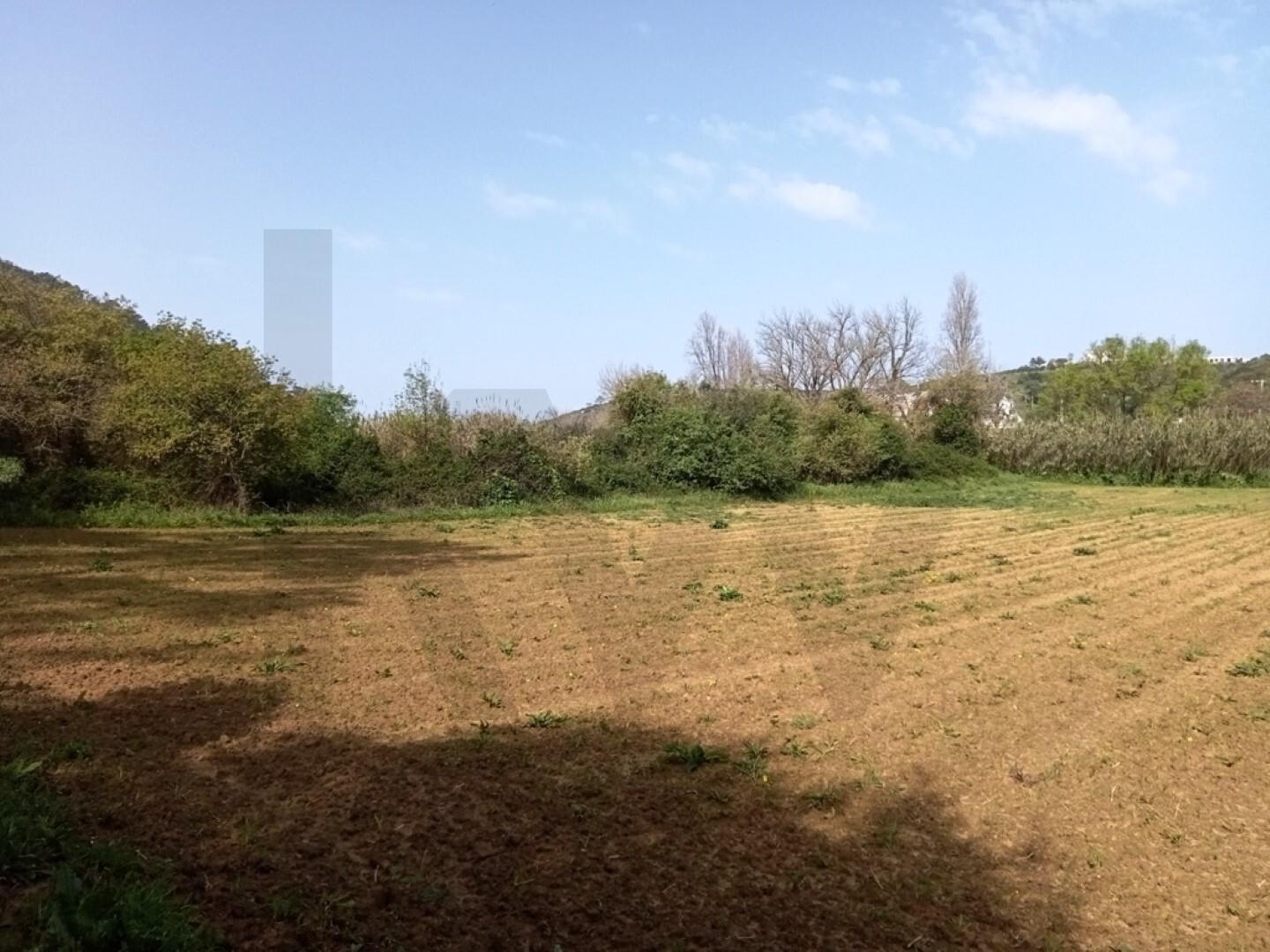 Terreno à Venda em Ericeira - Lisboa - Portugal - 5