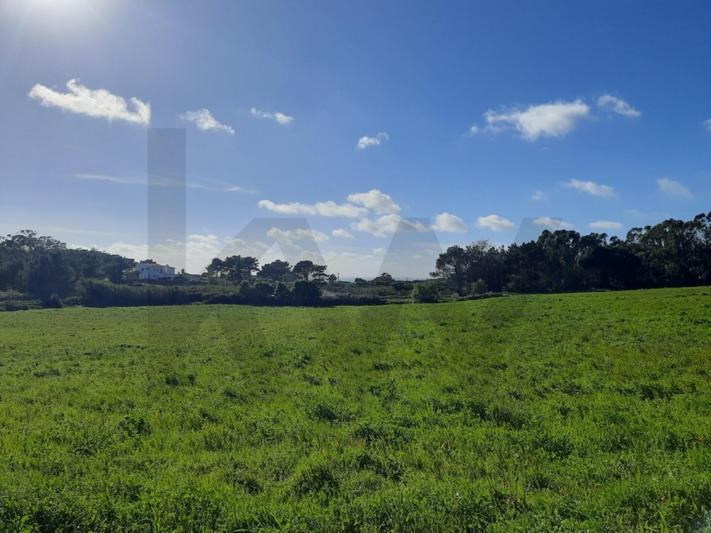 Terreno à Venda em Ericeira - Lisboa - Portugal - 1