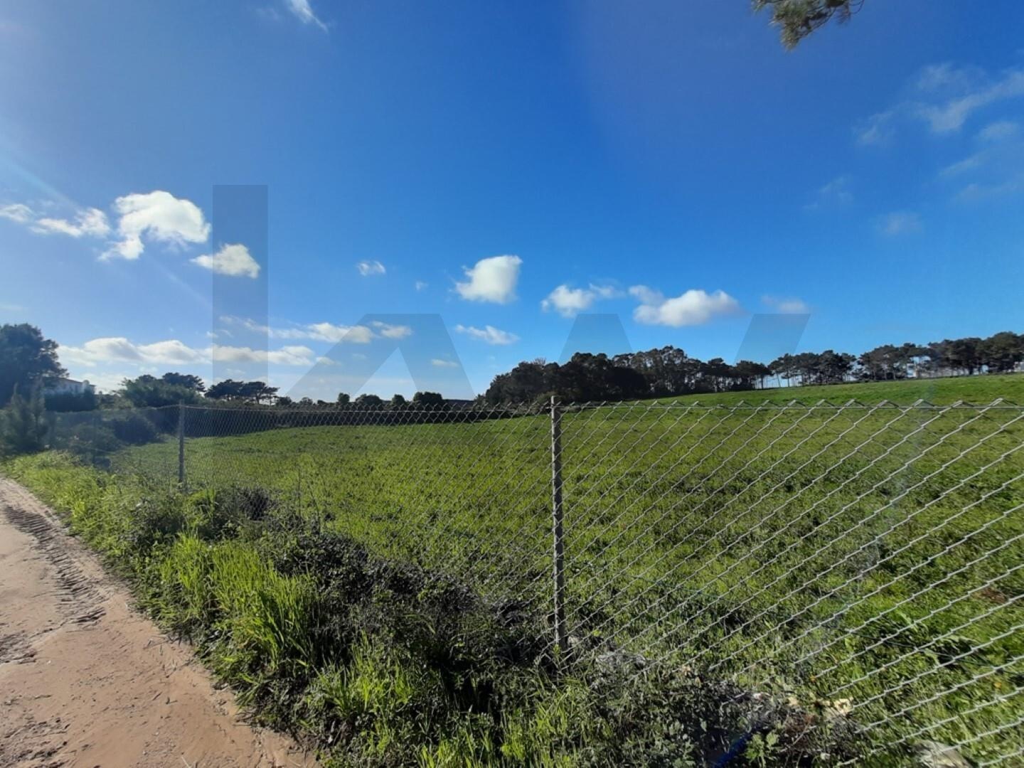 Terreno à Venda em Ericeira - Lisboa - Portugal - 2