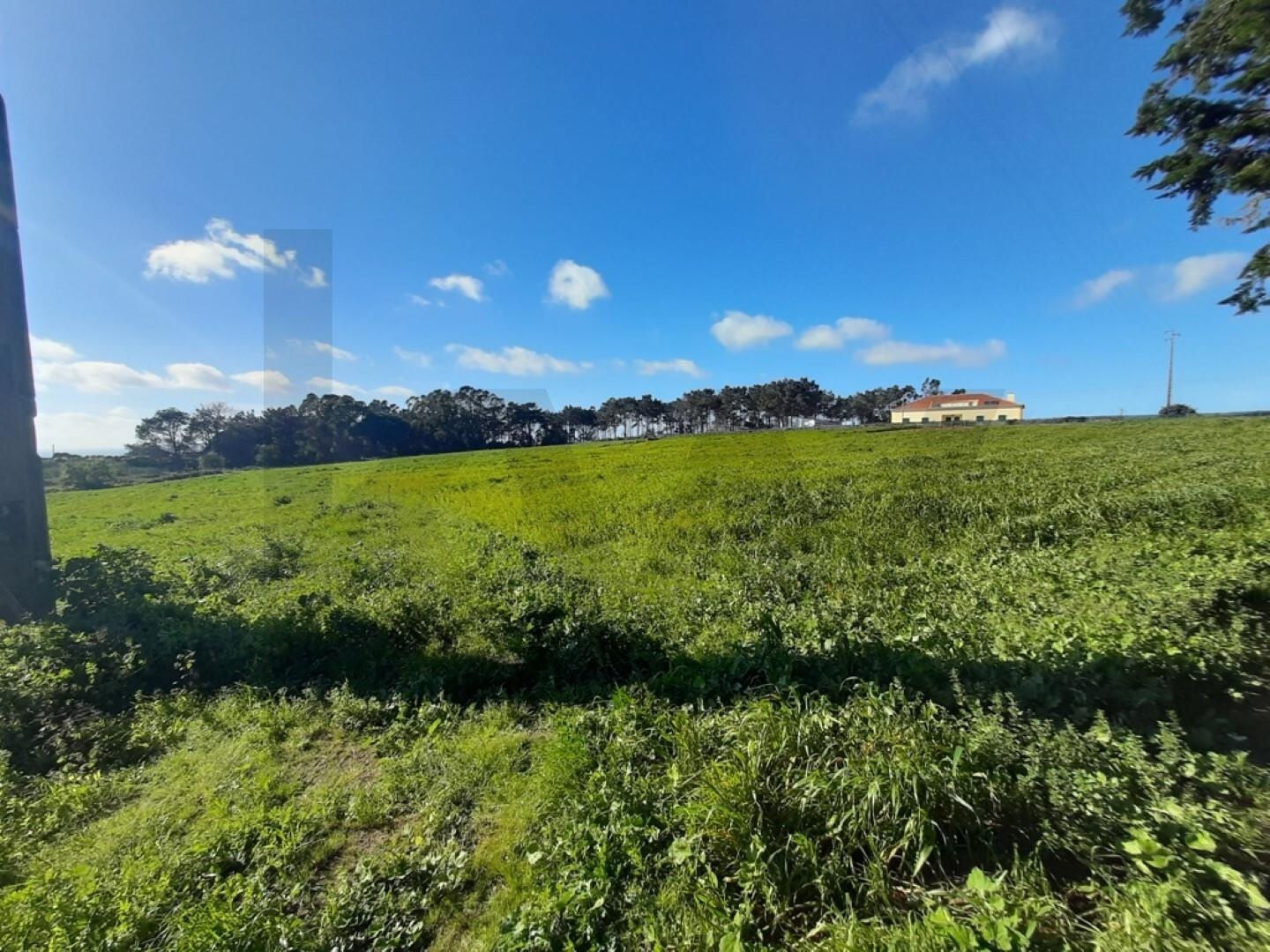 Terreno à Venda em Ericeira - Lisboa - Portugal - 4