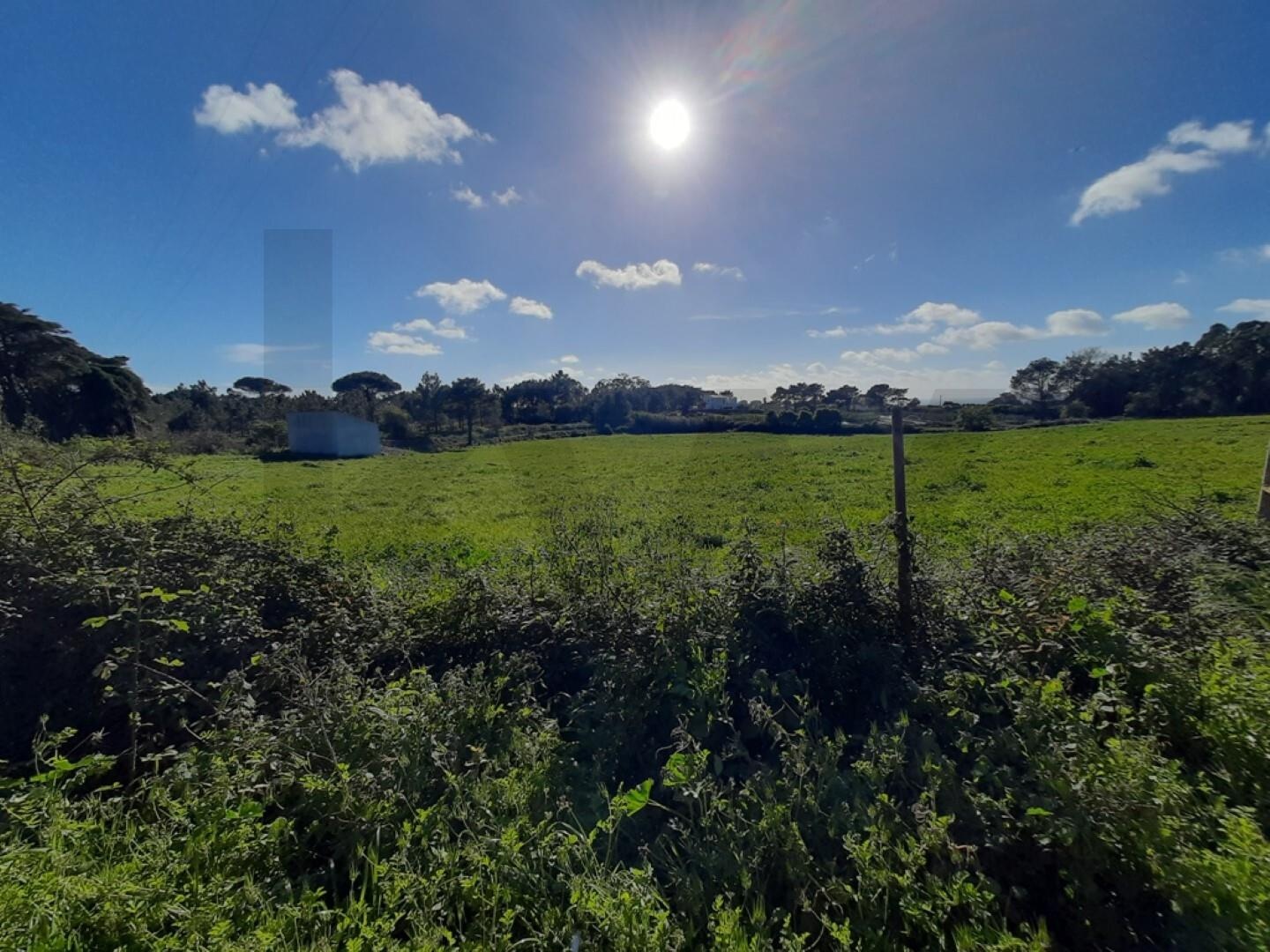 Terreno à Venda em Ericeira - Lisboa - Portugal - 5