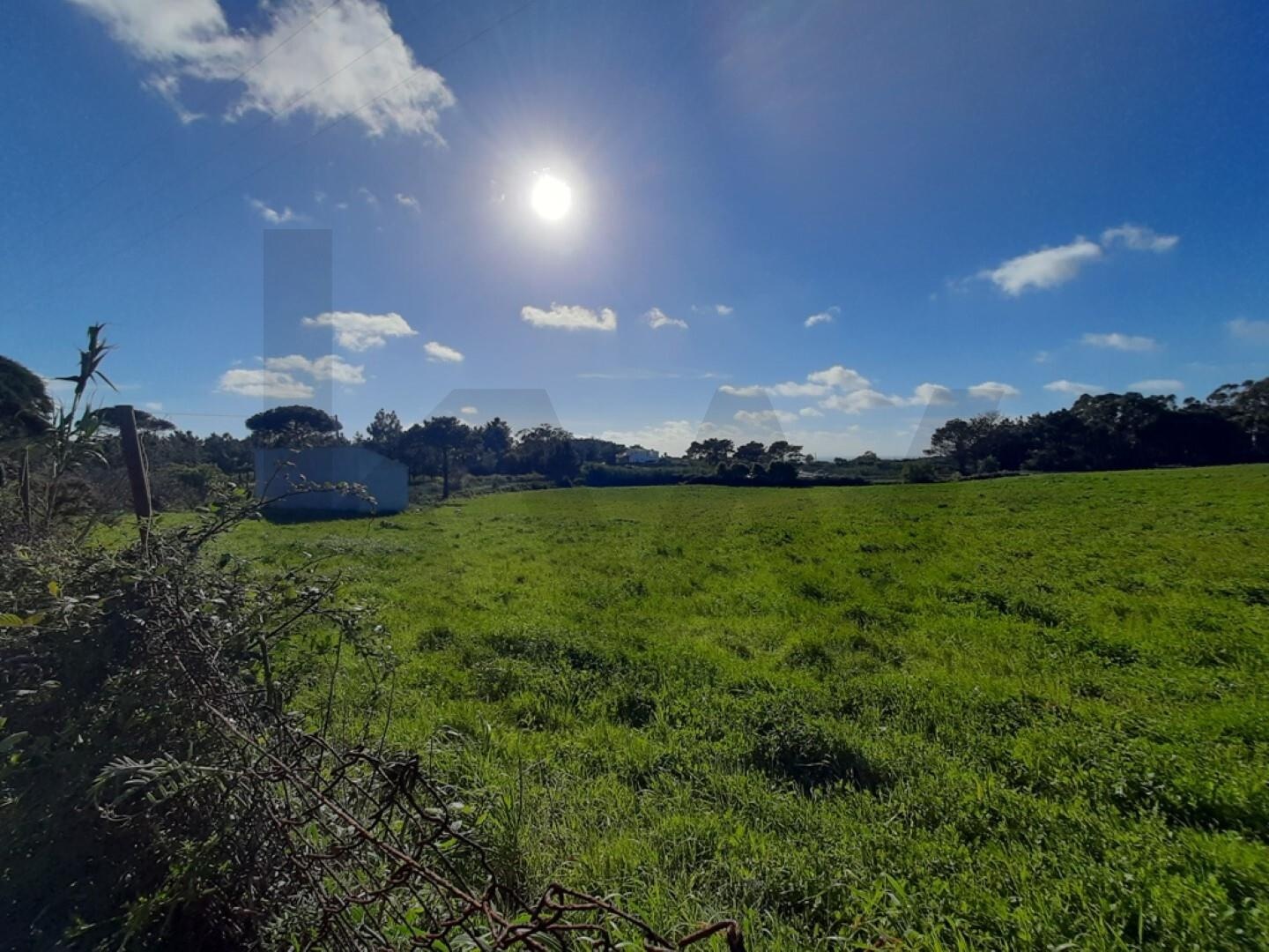 Terreno à Venda em Ericeira - Lisboa - Portugal - 8