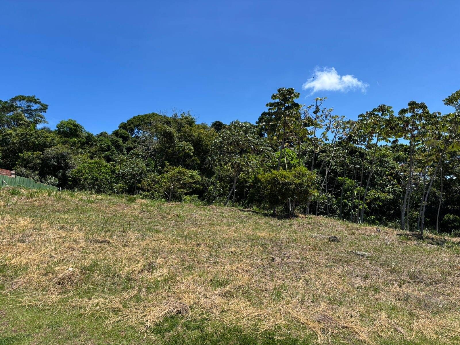 Terreno à Venda em Itacaré - Bahia - Brasil - 3