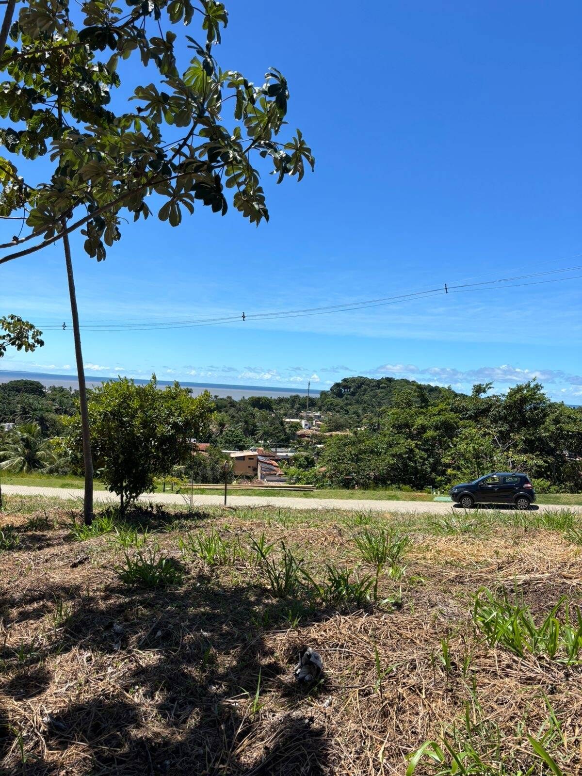 Terreno à Venda em Itacaré - Bahia - Brasil - 4
