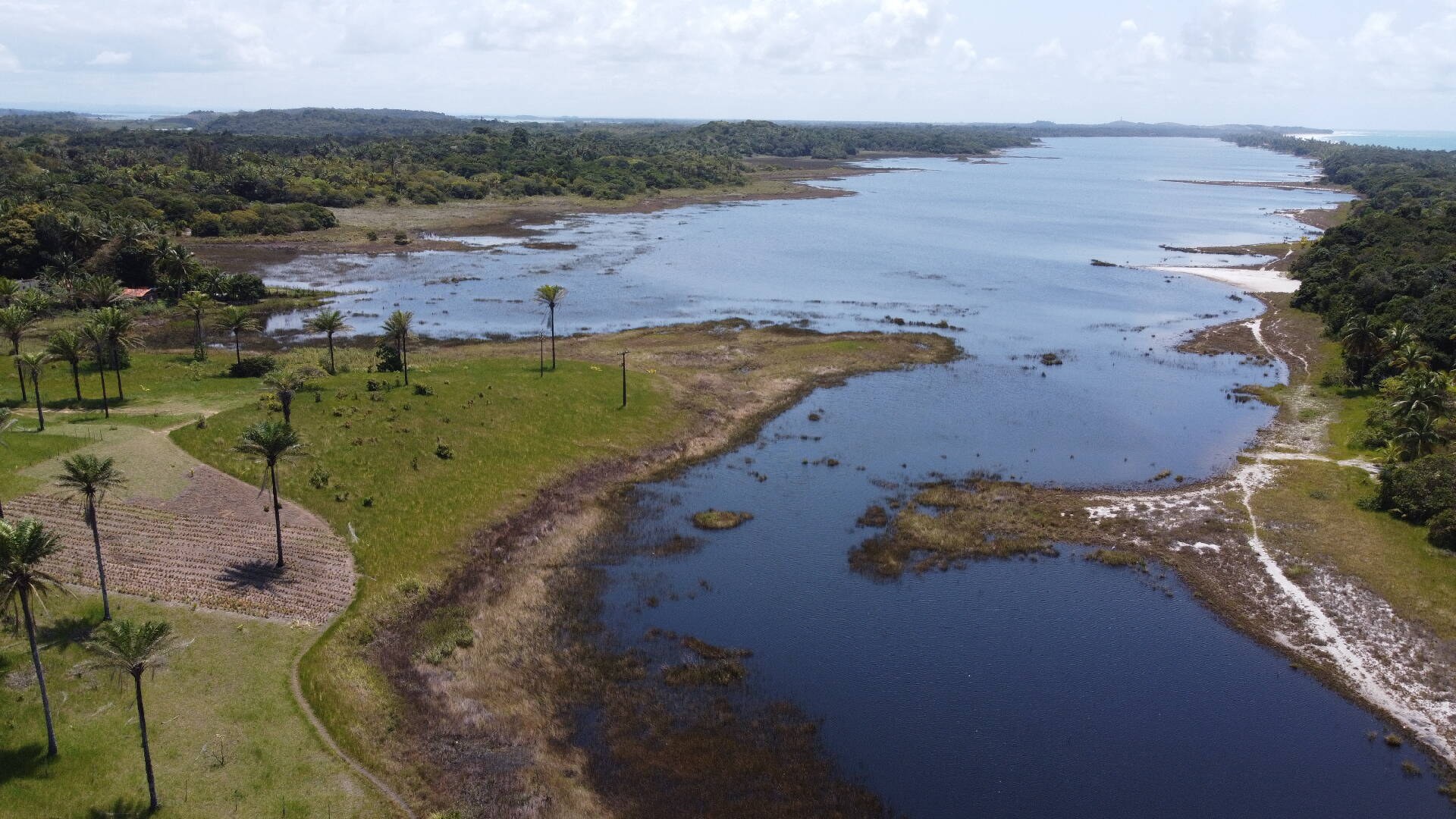 Terreno à Venda em Maraú - Bahia - Brasil - 3