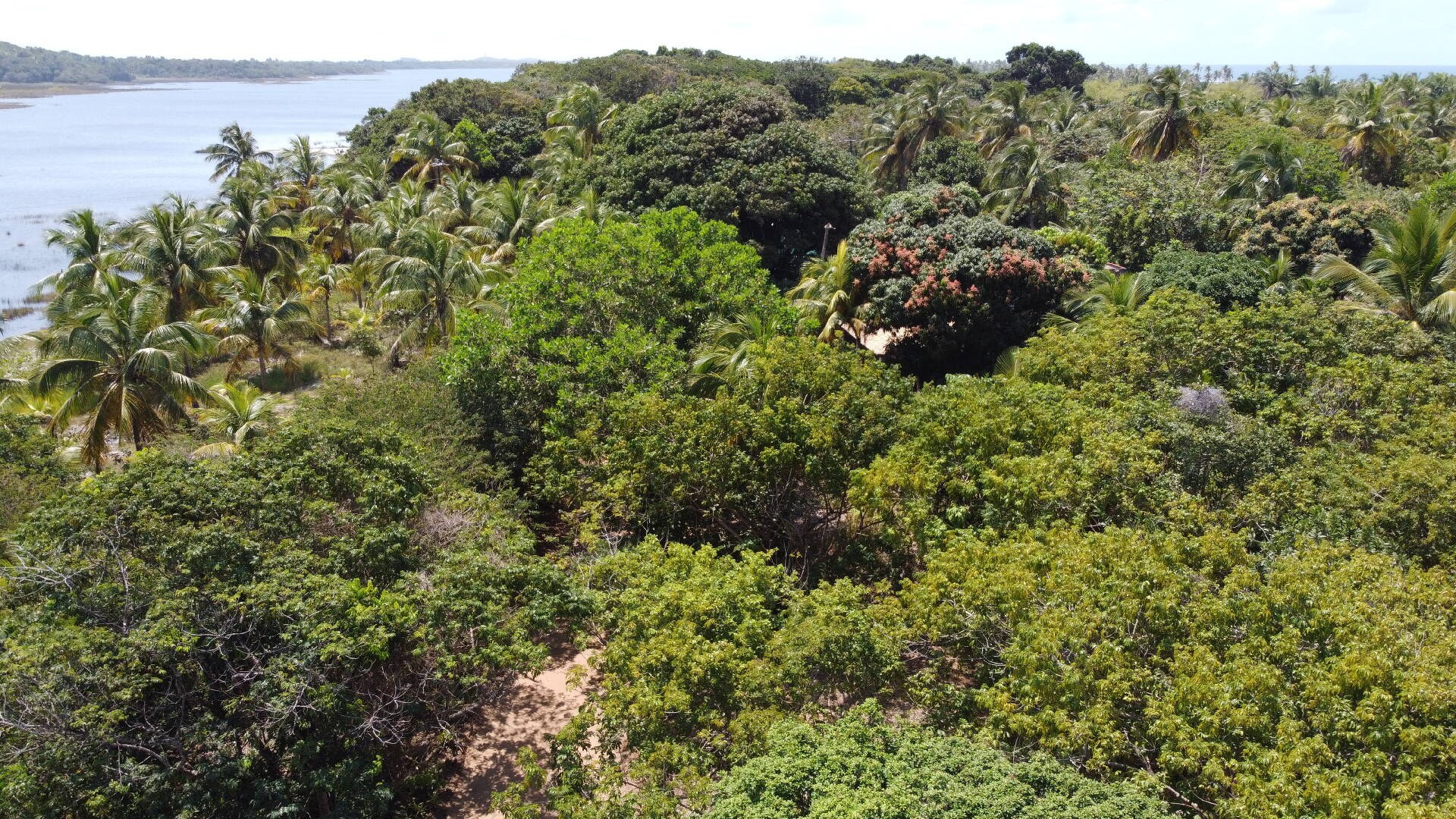 Terreno à Venda em Maraú - Bahia - Brasil - 4