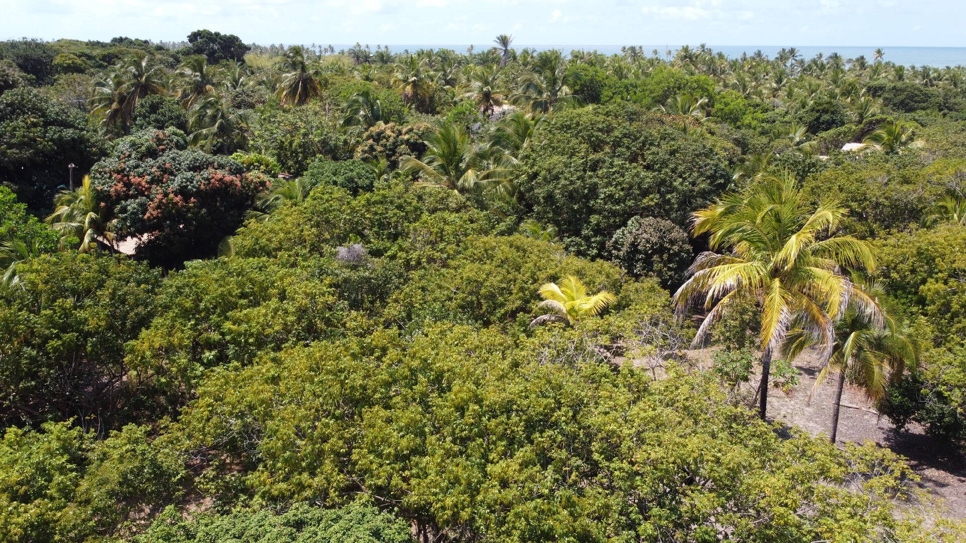 Terreno à Venda em Maraú - Bahia - Brasil - 5