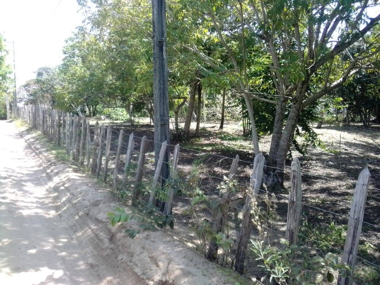 Terreno à Venda em Maraú - Bahia - Brasil - 7