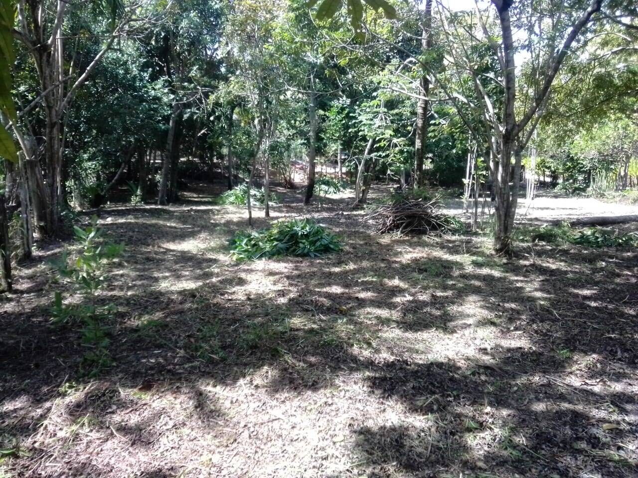 Terreno à Venda em Maraú - Bahia - Brasil - 8