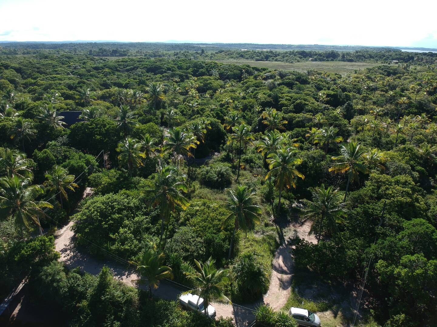 Terreno à Venda em Maraú - Bahia - Brasil - 4
