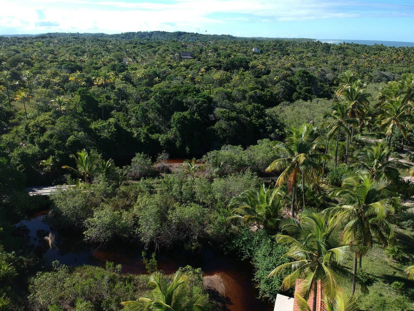 Terreno à Venda em Maraú - Bahia - Brasil - 5