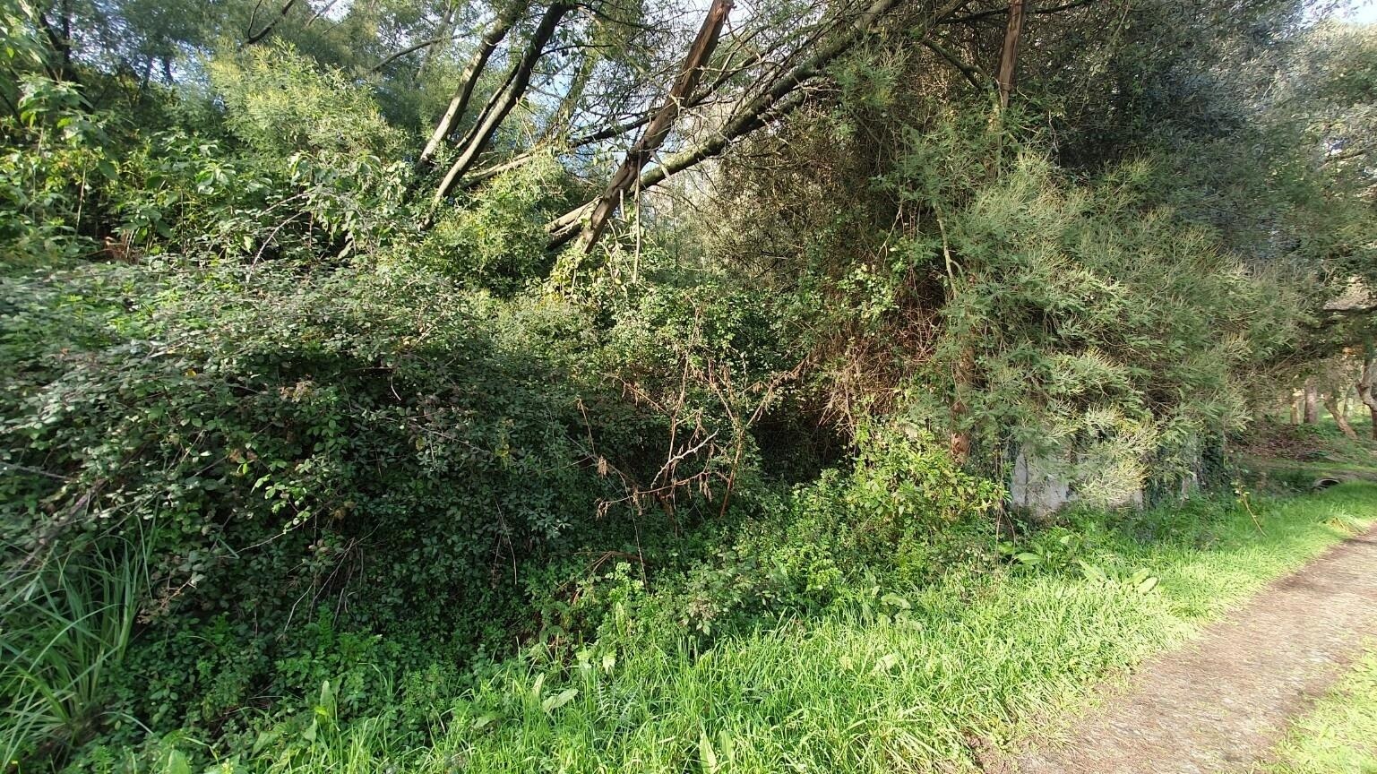 Terreno à Venda em Matosinhos - Porto - Portugal - 4