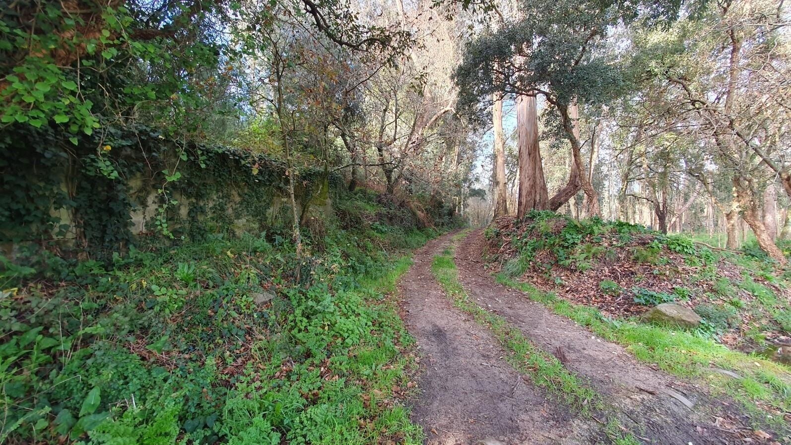 Terreno à Venda em Matosinhos - Porto - Portugal - 5