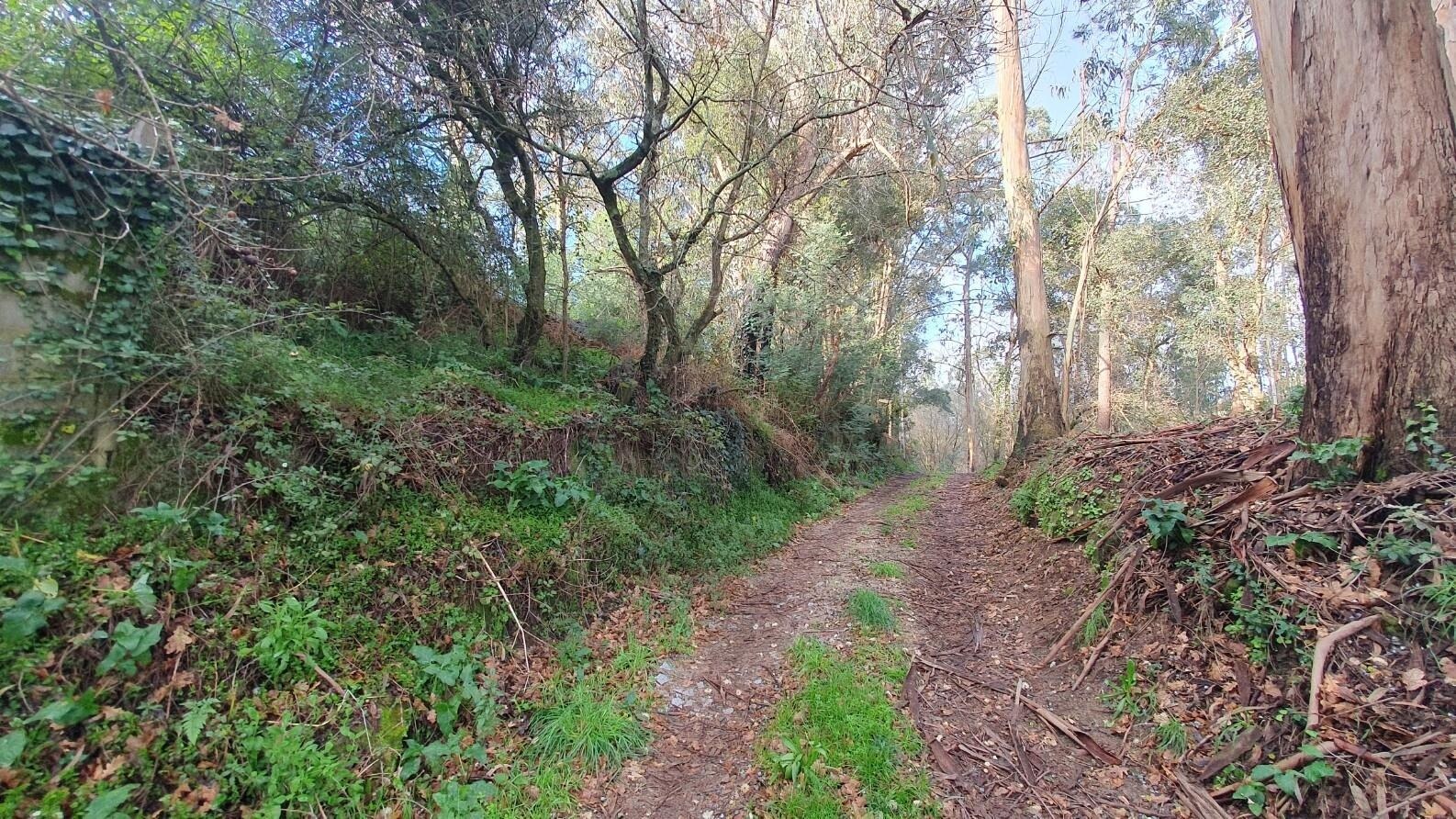 Terreno à Venda em Matosinhos - Porto - Portugal - 6