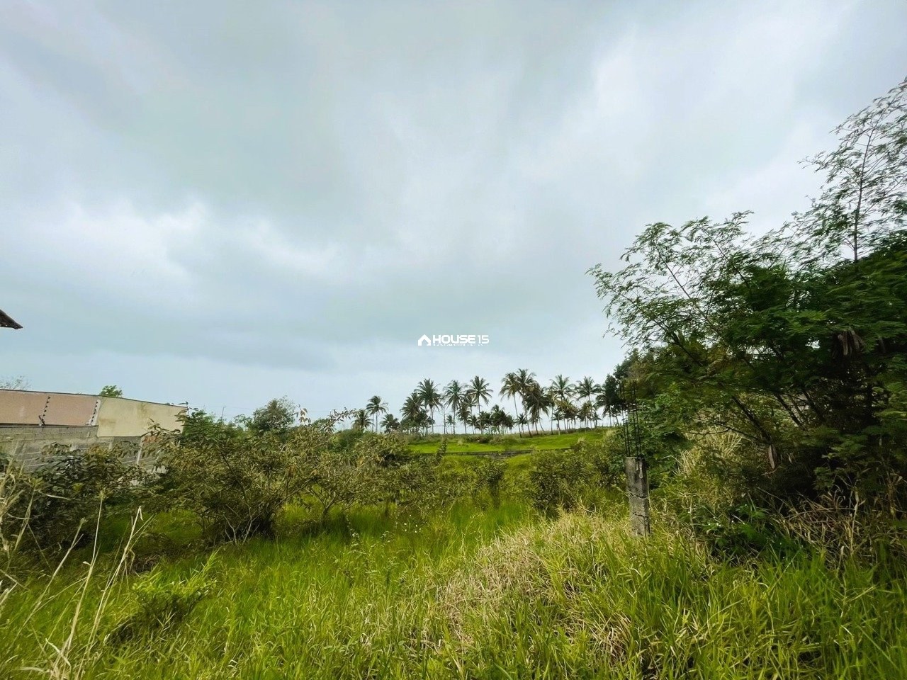 Terreno à Venda em Meaípe - Guarapari - Espírito Santo - Brasil - 3