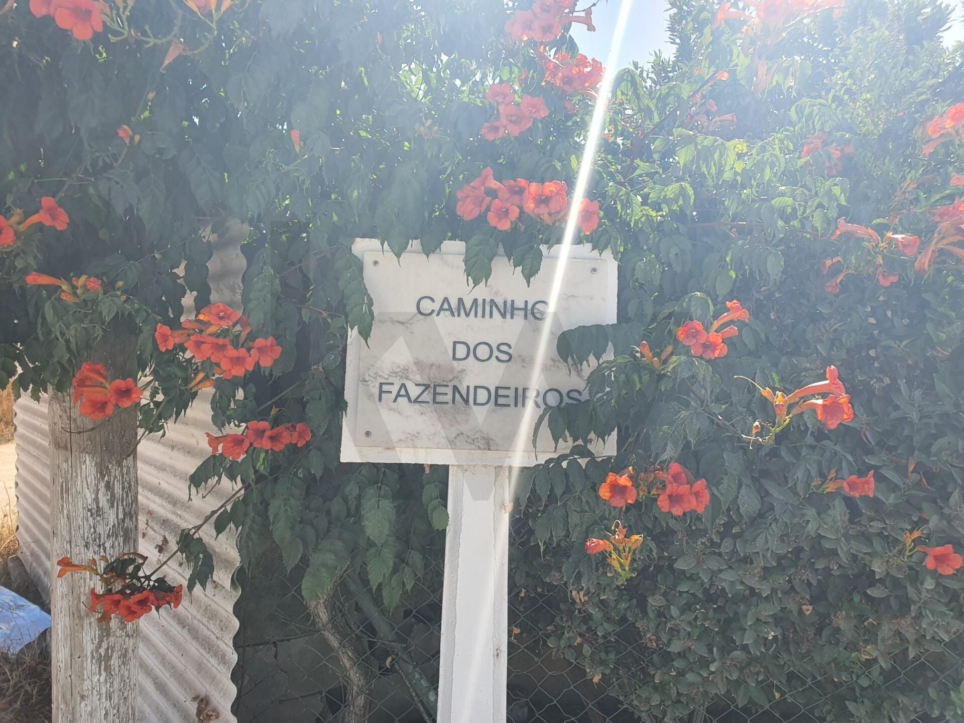 קרקע למכירה במונטיז׳ו, פורטוגל - 7