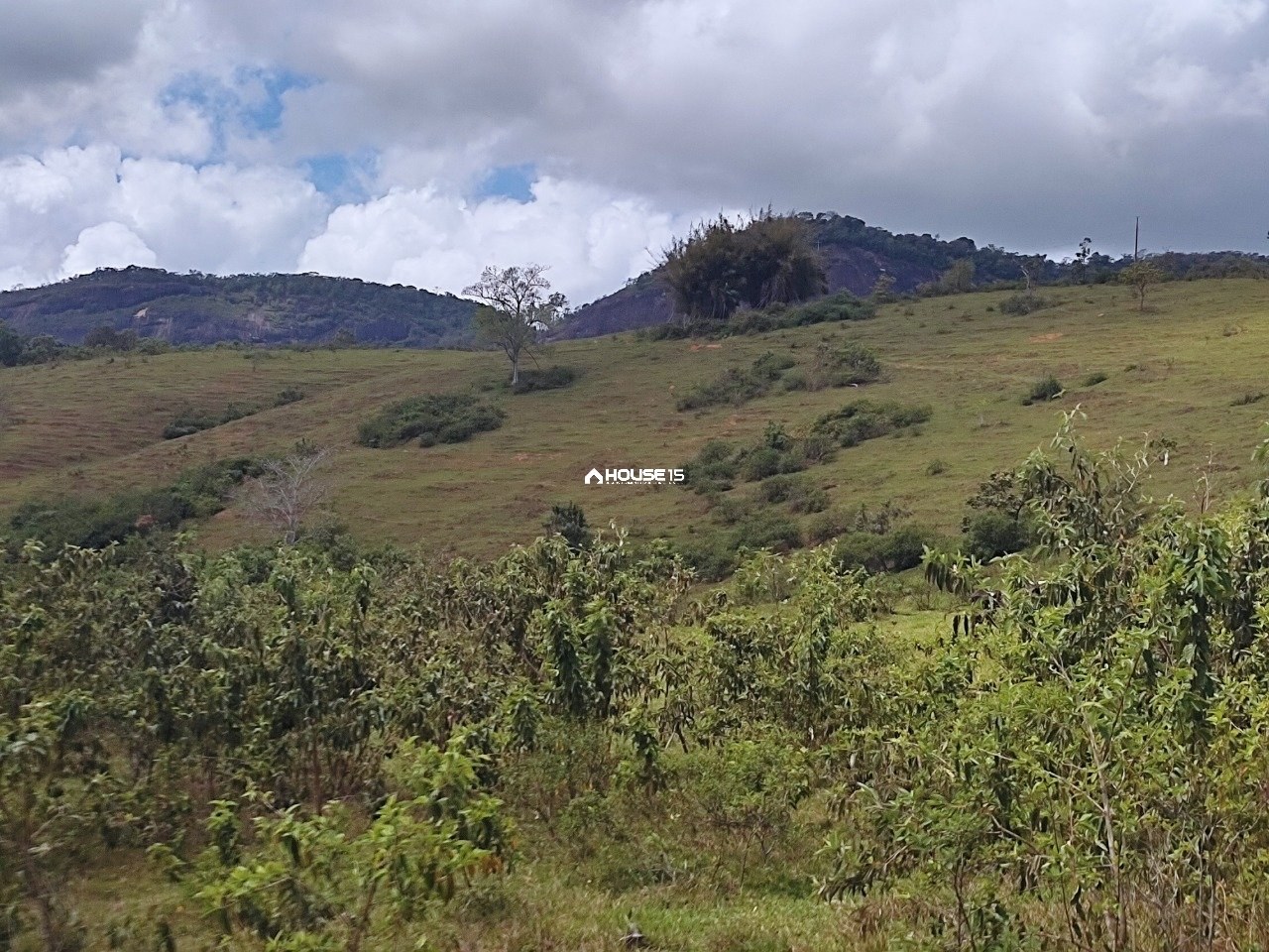 Terreno à Venda em Nova Anchieta - Anchieta - Espírito Santo - Brasil - 2