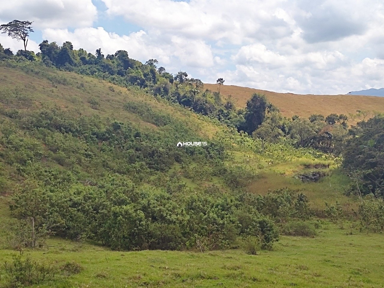 Terreno à Venda em Nova Anchieta - Anchieta - Espírito Santo - Brasil - 4
