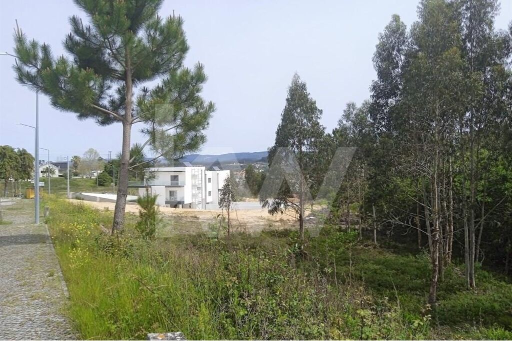 Terreno à Venda em Pombal - Leiria - Portugal - 2