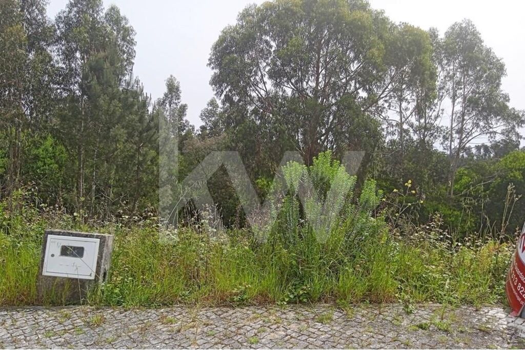 Terreno à Venda em Pombal - Leiria - Portugal - 6