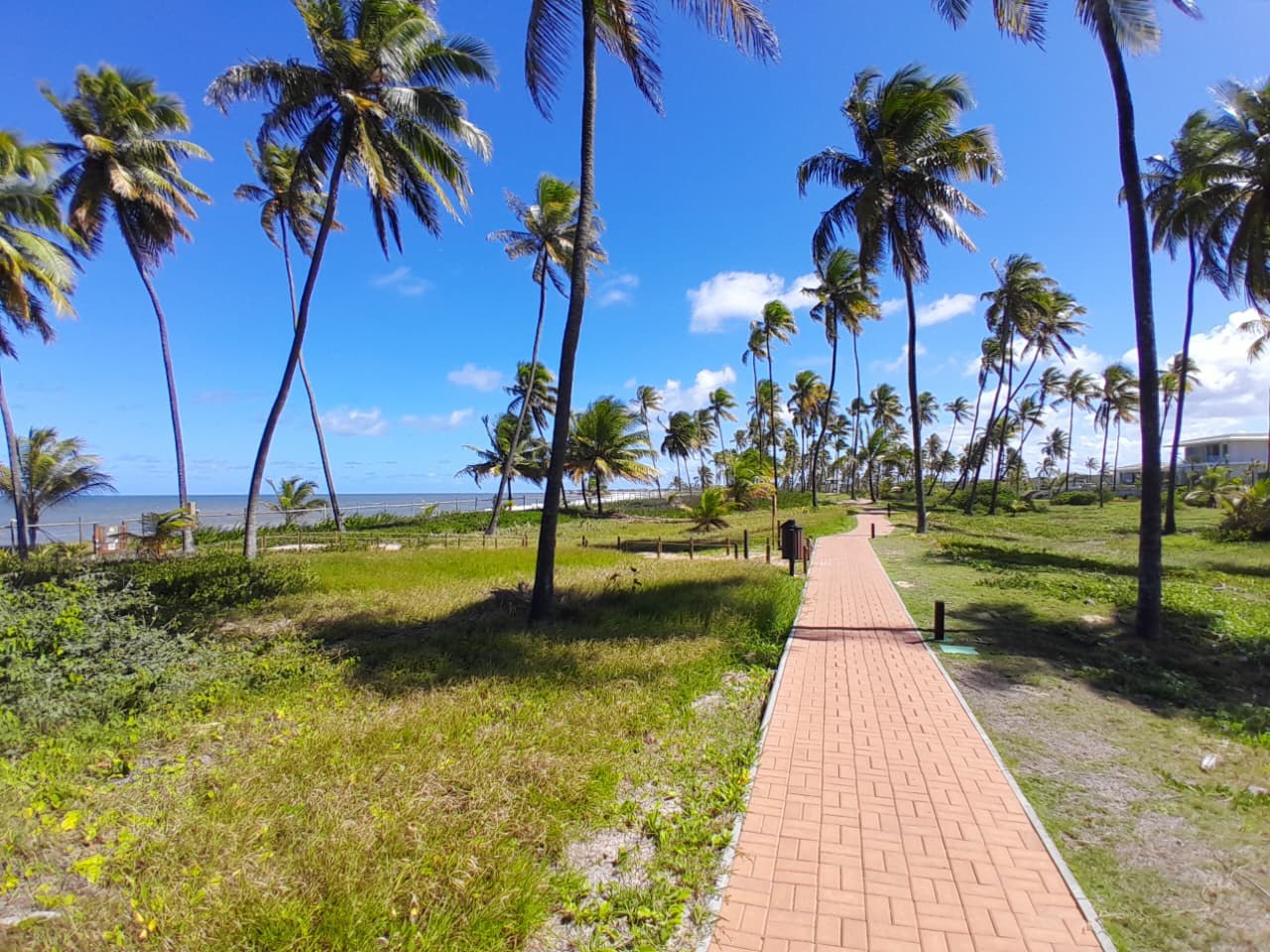 Terreno à Venda em Praia do Forte - Bahia - Brasil - 1