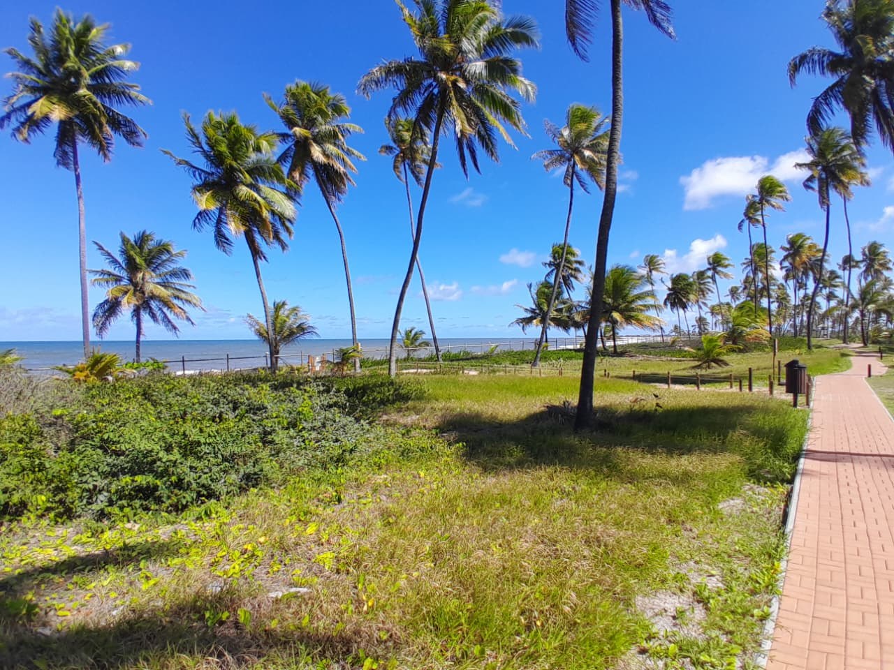 Terreno à Venda em Praia do Forte - Bahia - Brasil - 2