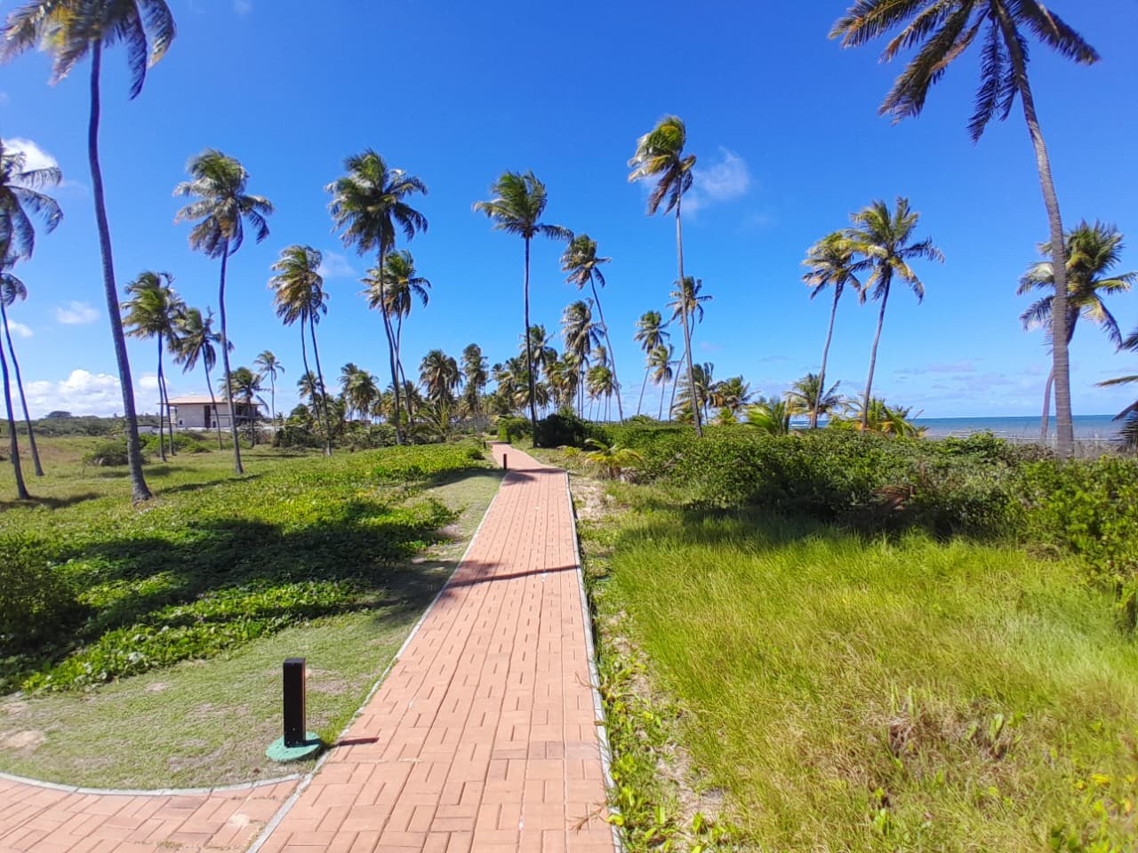 Terreno à Venda em Praia do Forte - Bahia - Brasil - 7