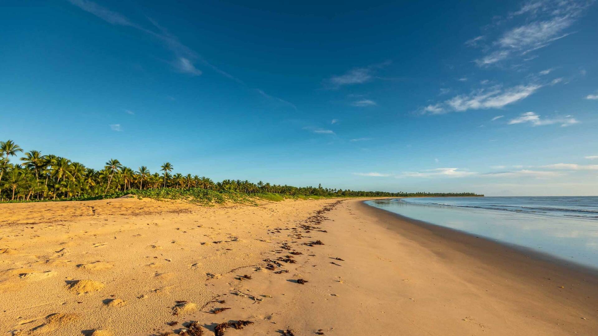 Terreno à Venda em Santa Cruz Cabrália - Bahia - Brasil - 8