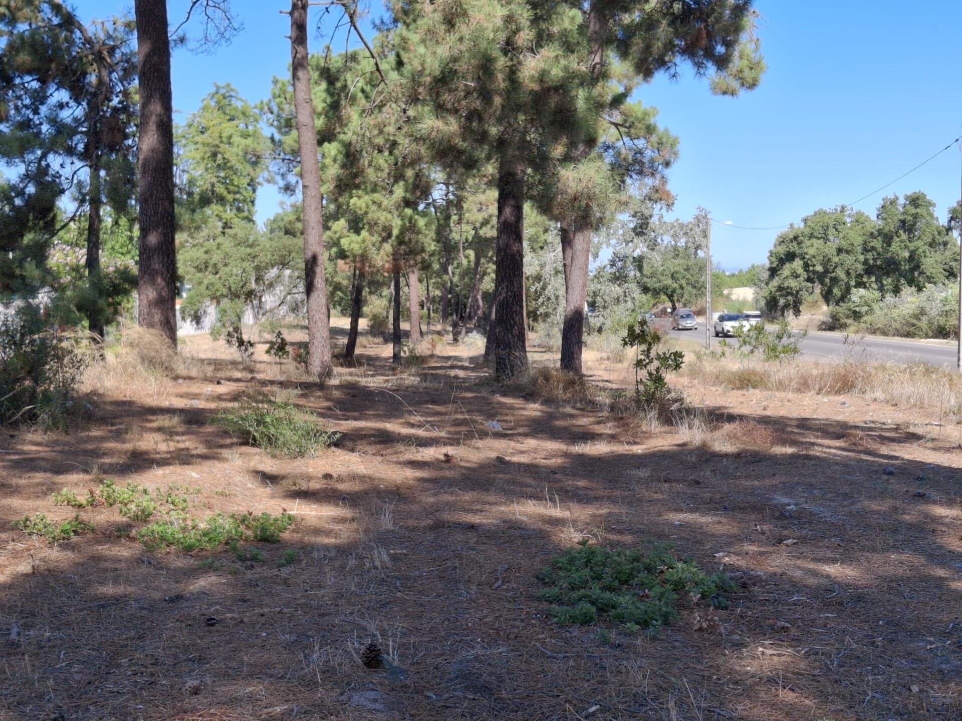 Terreno à Venda em Setúbal - Portugal - 1
