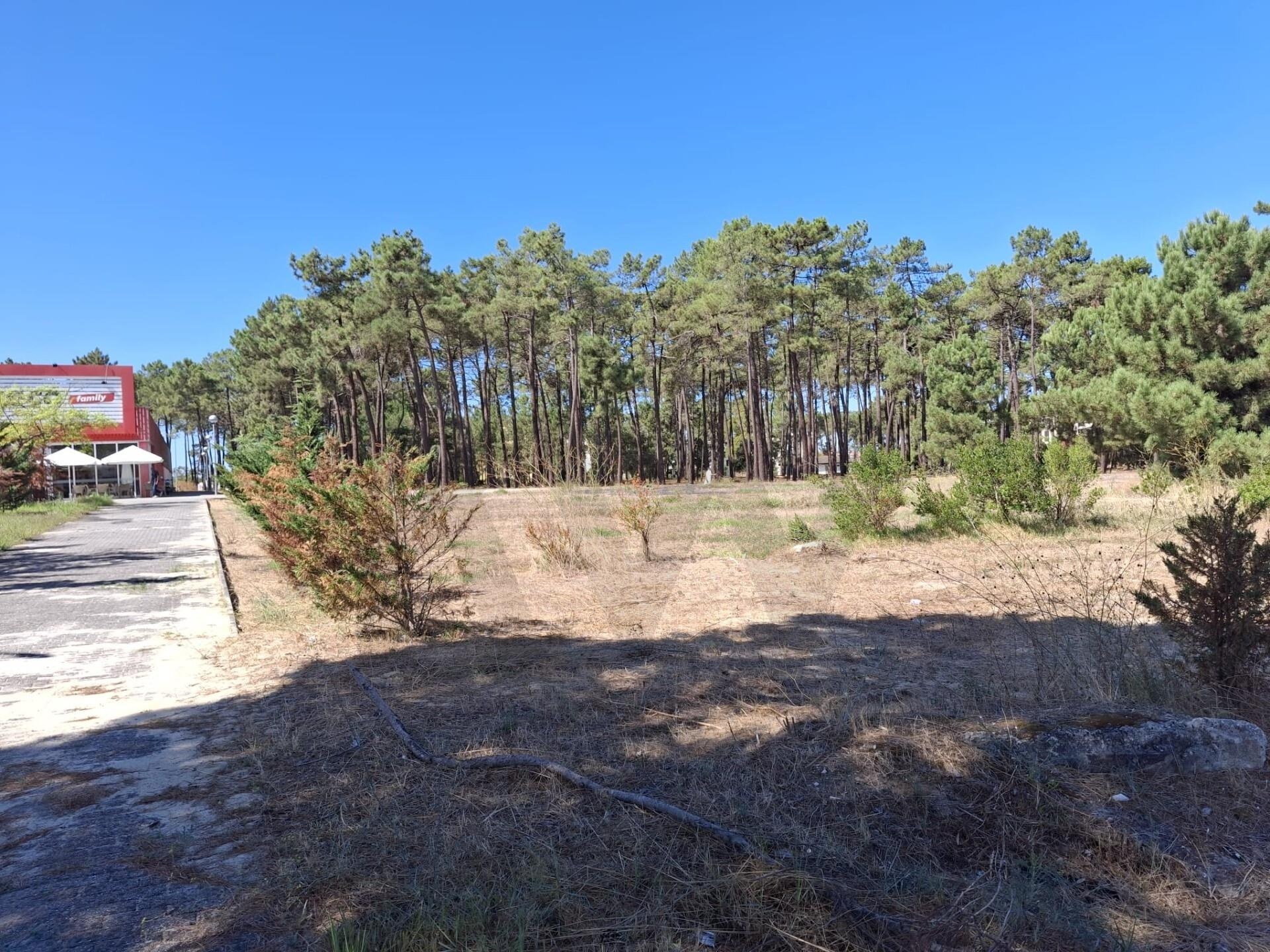 Terreno à Venda em Setúbal - Portugal - 3