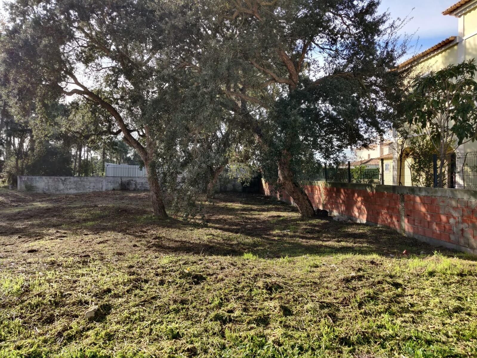 Terreno à Venda em Setúbal - Portugal - 3